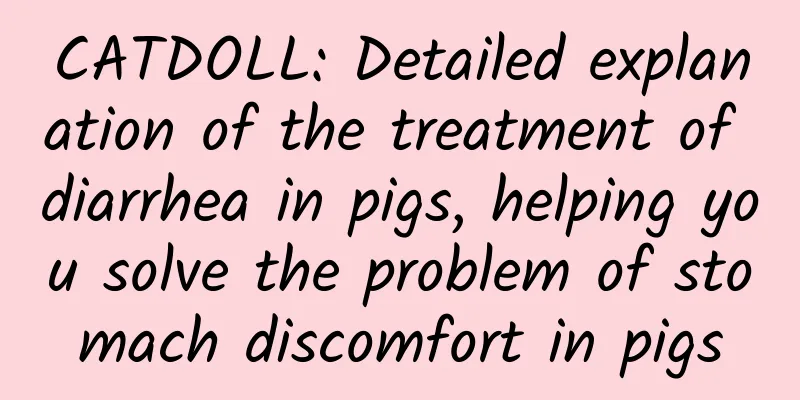 CATDOLL: Detailed explanation of the treatment of diarrhea in pigs, helping you solve the problem of stomach discomfort in pigs