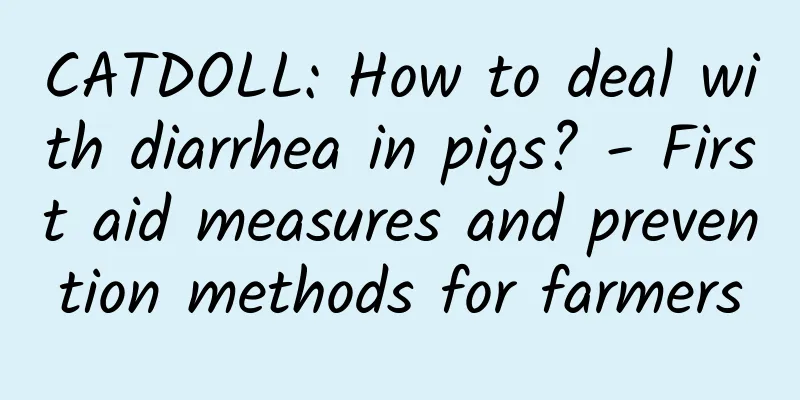 CATDOLL: How to deal with diarrhea in pigs? - First aid measures and prevention methods for farmers