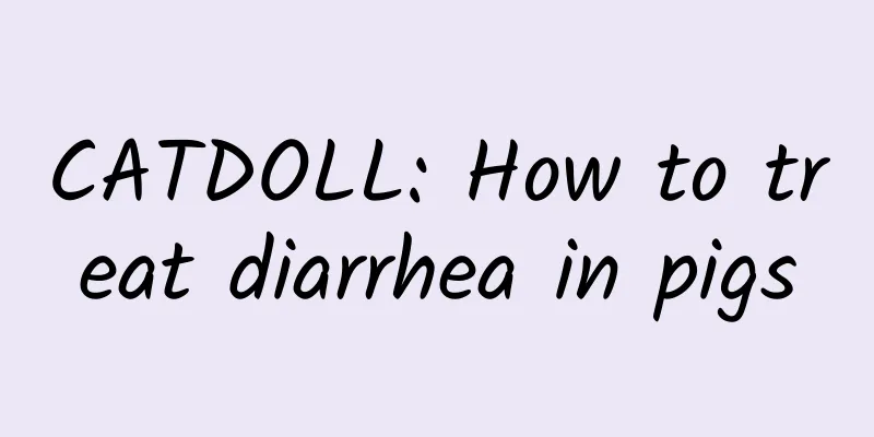 CATDOLL: How to treat diarrhea in pigs