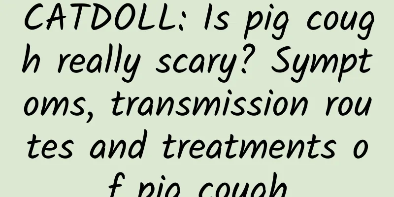 CATDOLL: Is pig cough really scary? Symptoms, transmission routes and treatments of pig cough