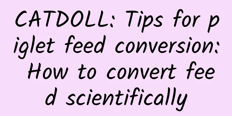 CATDOLL: Tips for piglet feed conversion: How to convert feed scientifically