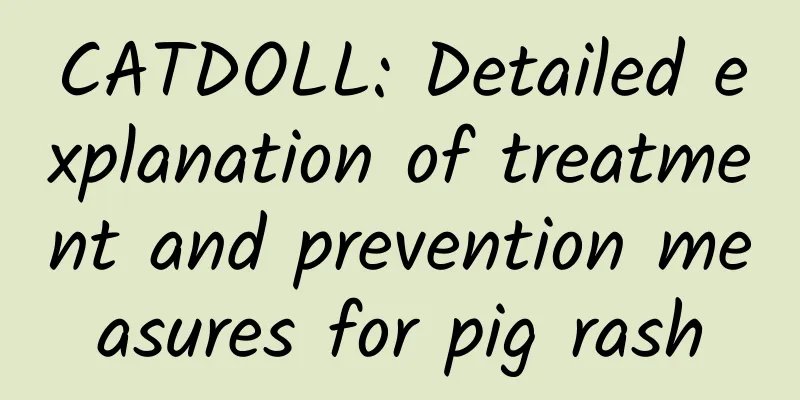 CATDOLL: Detailed explanation of treatment and prevention measures for pig rash