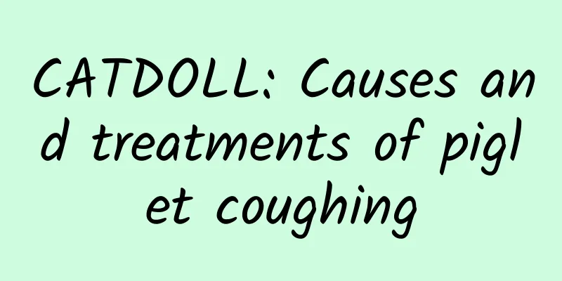CATDOLL: Causes and treatments of piglet coughing