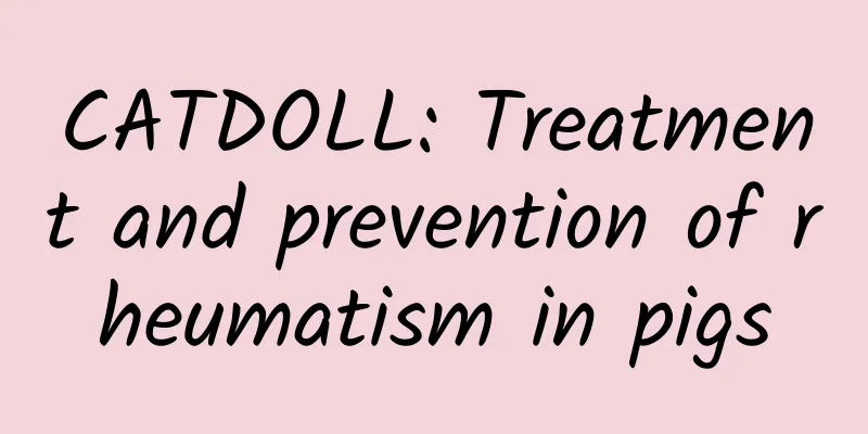 CATDOLL: Treatment and prevention of rheumatism in pigs