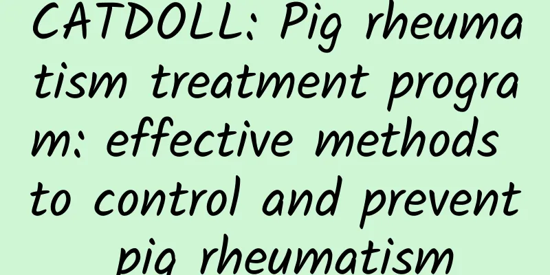 CATDOLL: Pig rheumatism treatment program: effective methods to control and prevent pig rheumatism