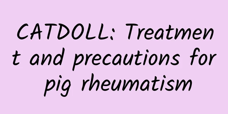 CATDOLL: Treatment and precautions for pig rheumatism