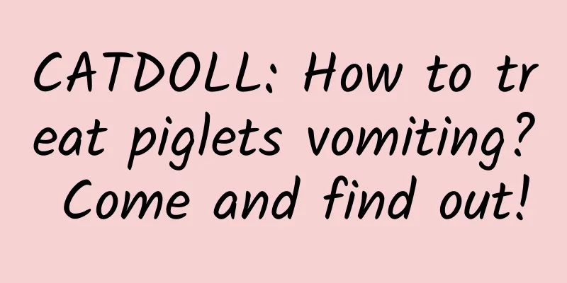 CATDOLL: How to treat piglets vomiting? Come and find out!