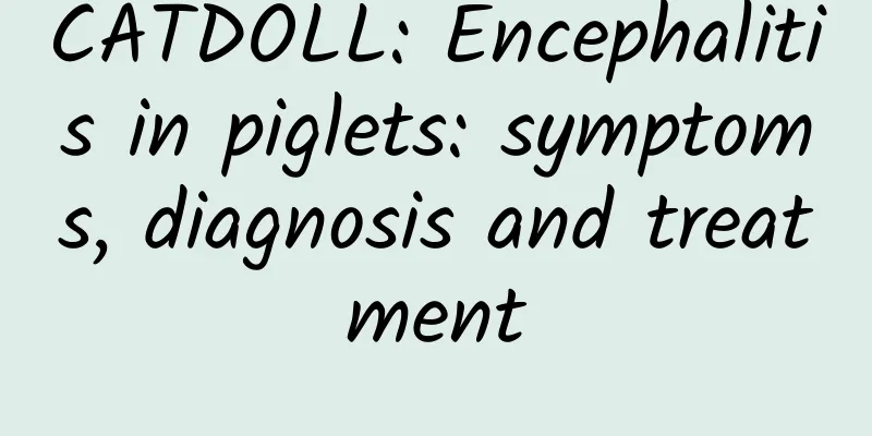CATDOLL: Encephalitis in piglets: symptoms, diagnosis and treatment
