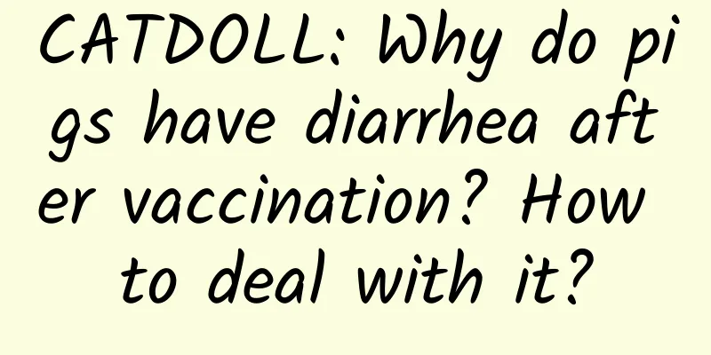 CATDOLL: Why do pigs have diarrhea after vaccination? How to deal with it?