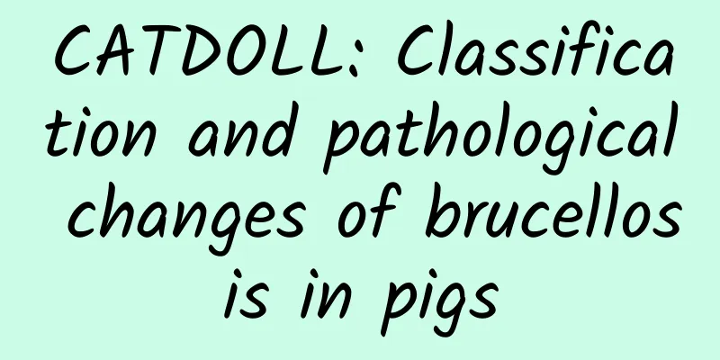 CATDOLL: Classification and pathological changes of brucellosis in pigs