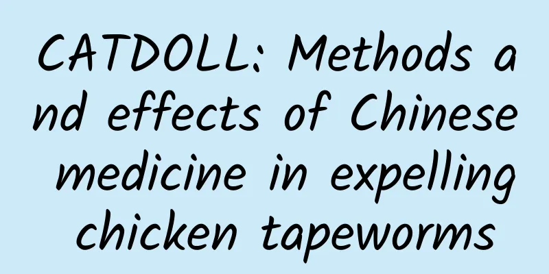 CATDOLL: Methods and effects of Chinese medicine in expelling chicken tapeworms