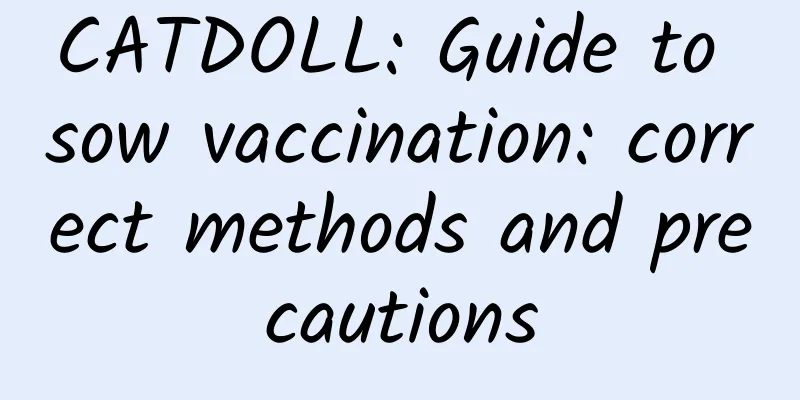 CATDOLL: Guide to sow vaccination: correct methods and precautions