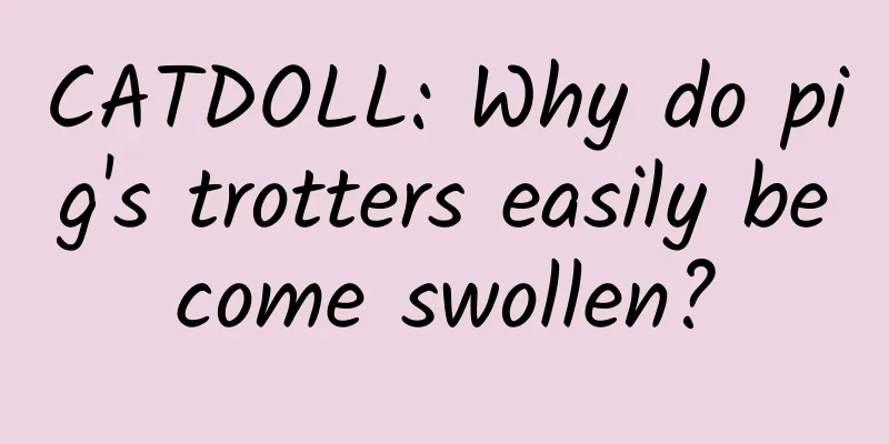 CATDOLL: Why do pig's trotters easily become swollen?