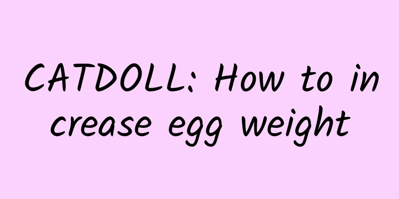 CATDOLL: How to increase egg weight