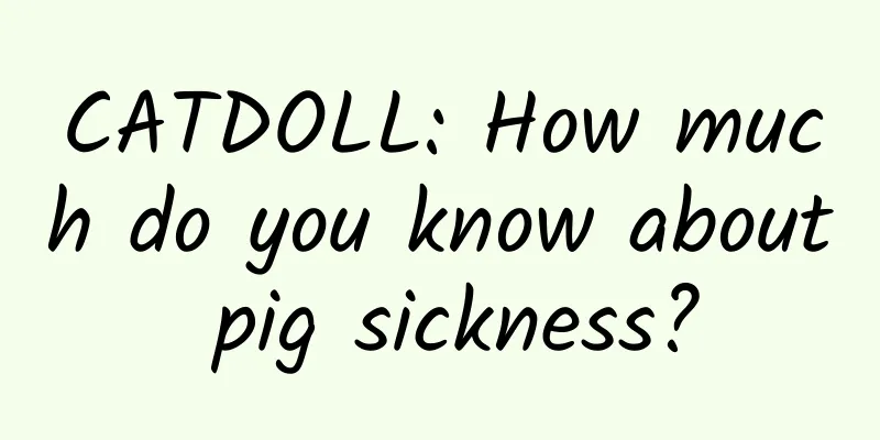 CATDOLL: How much do you know about pig sickness?