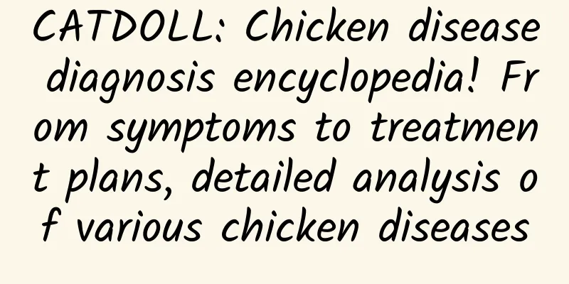 CATDOLL: Chicken disease diagnosis encyclopedia! From symptoms to treatment plans, detailed analysis of various chicken diseases