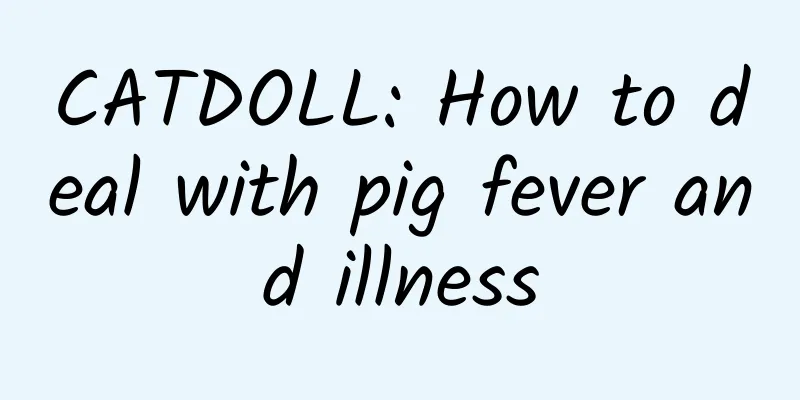 CATDOLL: How to deal with pig fever and illness