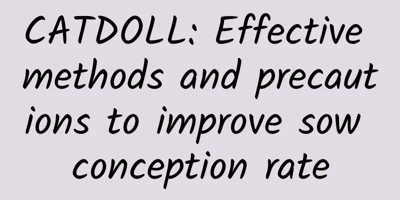 CATDOLL: Effective methods and precautions to improve sow conception rate