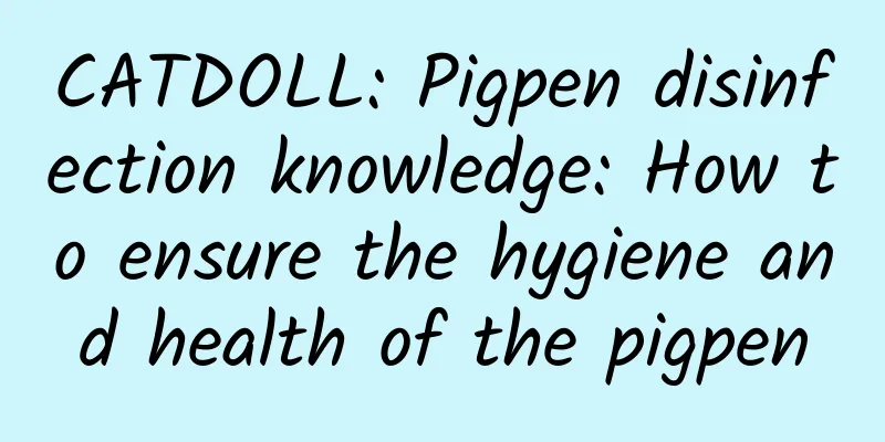 CATDOLL: Pigpen disinfection knowledge: How to ensure the hygiene and health of the pigpen
