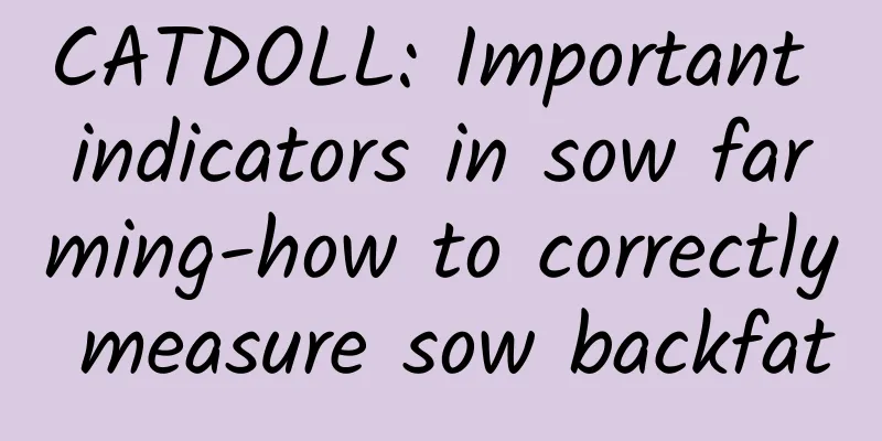 CATDOLL: Important indicators in sow farming-how to correctly measure sow backfat