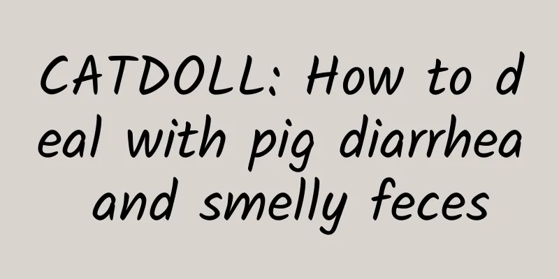 CATDOLL: How to deal with pig diarrhea and smelly feces