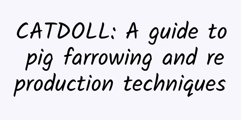 CATDOLL: A guide to pig farrowing and reproduction techniques