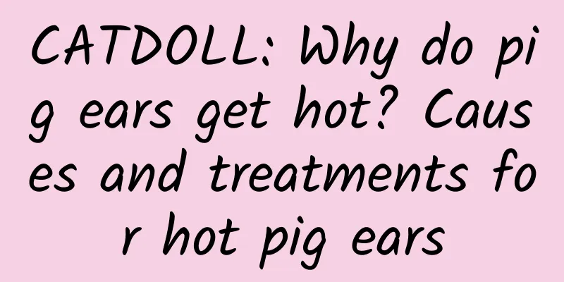 CATDOLL: Why do pig ears get hot? Causes and treatments for hot pig ears