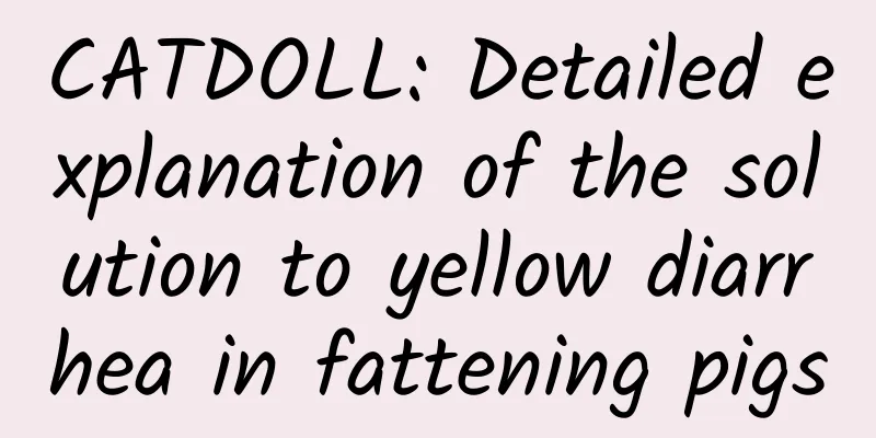 CATDOLL: Detailed explanation of the solution to yellow diarrhea in fattening pigs