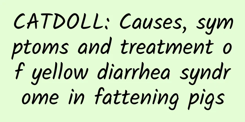 CATDOLL: Causes, symptoms and treatment of yellow diarrhea syndrome in fattening pigs