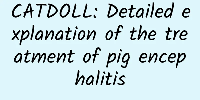 CATDOLL: Detailed explanation of the treatment of pig encephalitis