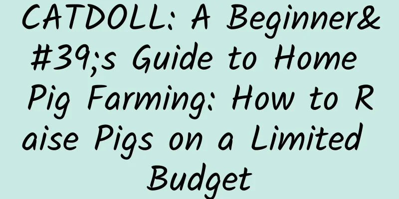CATDOLL: A Beginner's Guide to Home Pig Farming: How to Raise Pigs on a Limited Budget