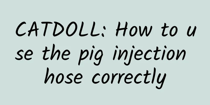 CATDOLL: How to use the pig injection hose correctly