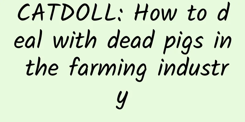 CATDOLL: How to deal with dead pigs in the farming industry