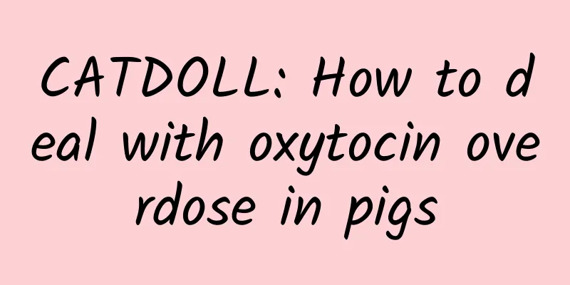 CATDOLL: How to deal with oxytocin overdose in pigs