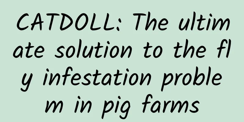 CATDOLL: The ultimate solution to the fly infestation problem in pig farms
