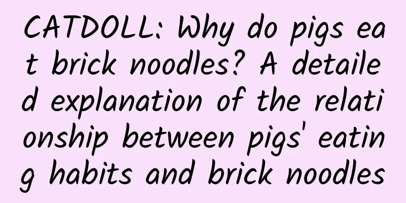 CATDOLL: Why do pigs eat brick noodles? A detailed explanation of the relationship between pigs' eating habits and brick noodles