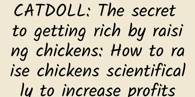 CATDOLL: The secret to getting rich by raising chickens: How to raise chickens scientifically to increase profits