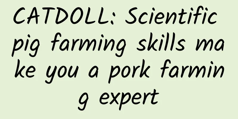 CATDOLL: Scientific pig farming skills make you a pork farming expert