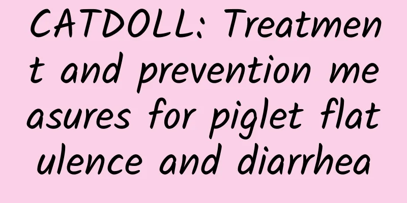 CATDOLL: Treatment and prevention measures for piglet flatulence and diarrhea