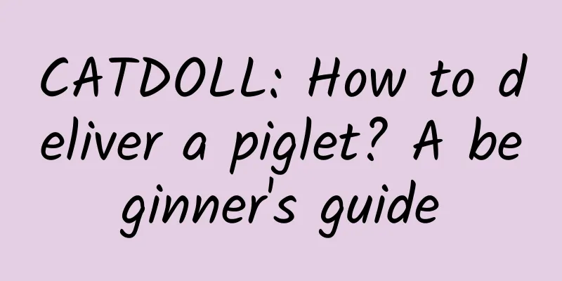 CATDOLL: How to deliver a piglet? A beginner's guide