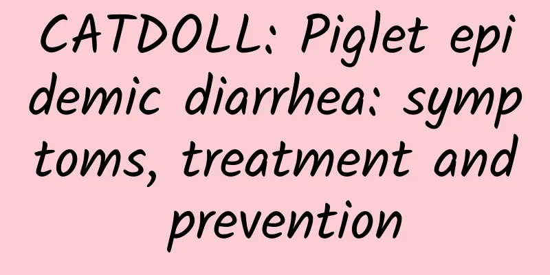 CATDOLL: Piglet epidemic diarrhea: symptoms, treatment and prevention