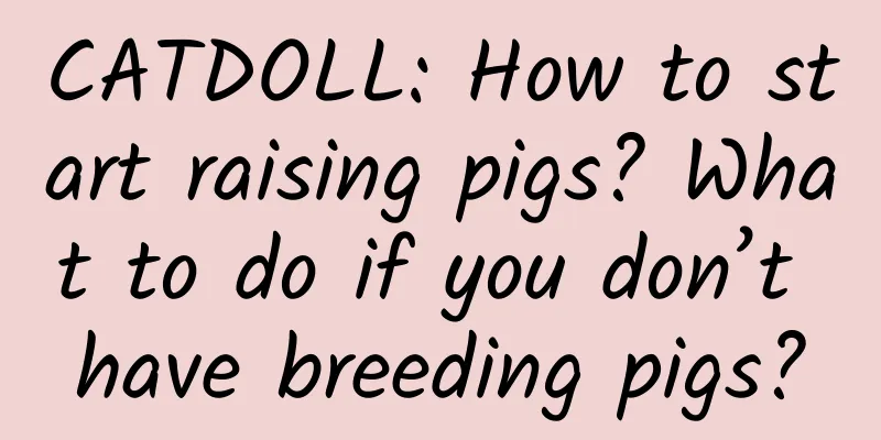 CATDOLL: How to start raising pigs? What to do if you don’t have breeding pigs?