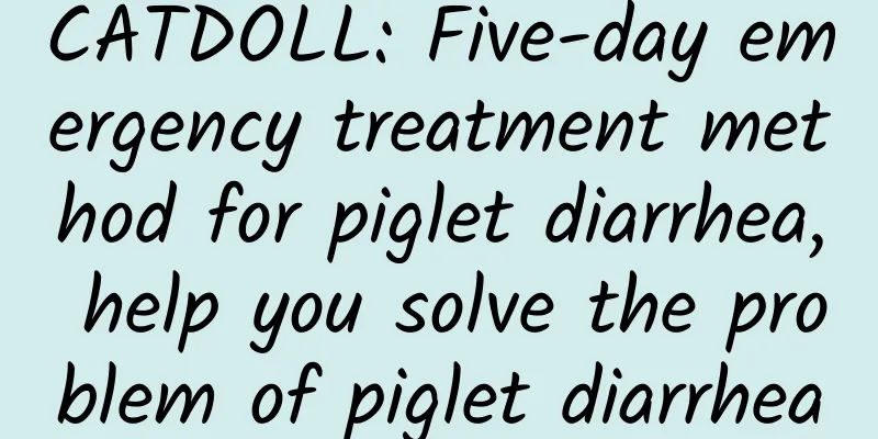 CATDOLL: Five-day emergency treatment method for piglet diarrhea, help you solve the problem of piglet diarrhea