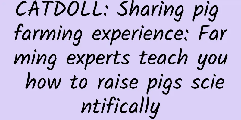 CATDOLL: Sharing pig farming experience: Farming experts teach you how to raise pigs scientifically