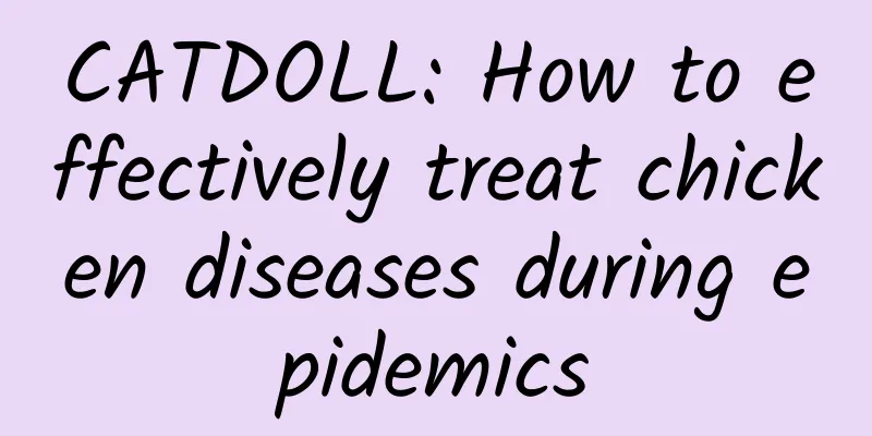 CATDOLL: How to effectively treat chicken diseases during epidemics
