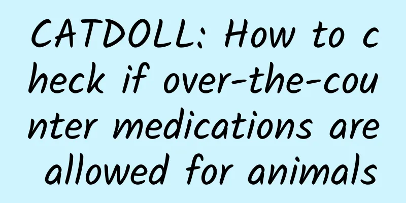 CATDOLL: How to check if over-the-counter medications are allowed for animals