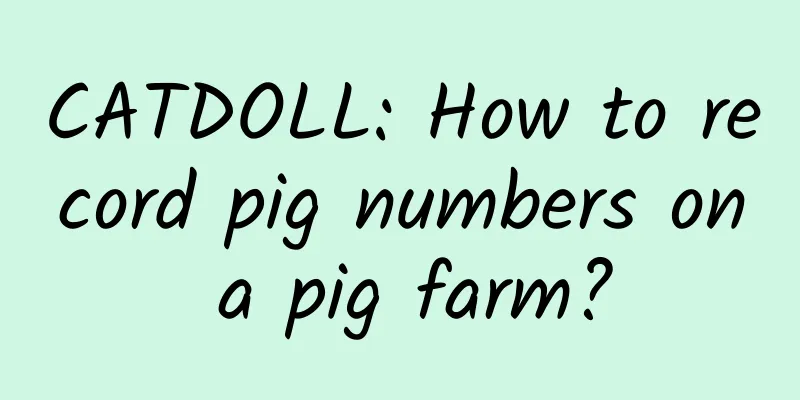 CATDOLL: How to record pig numbers on a pig farm?