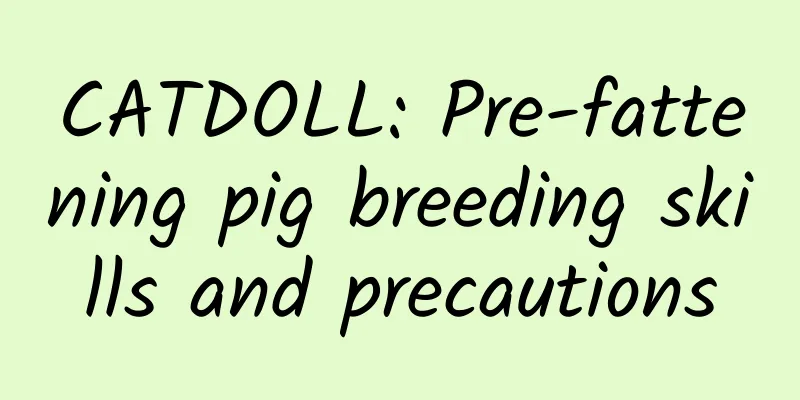 CATDOLL: Pre-fattening pig breeding skills and precautions