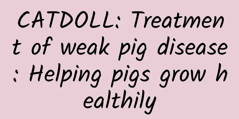 CATDOLL: Treatment of weak pig disease: Helping pigs grow healthily