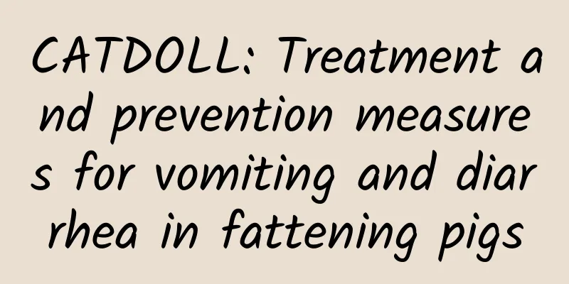 CATDOLL: Treatment and prevention measures for vomiting and diarrhea in fattening pigs